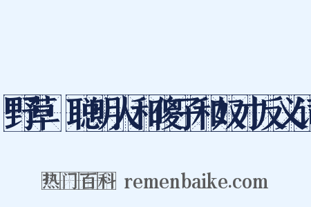野草·聪明人和傻子和奴才反义词是什么意思的图片